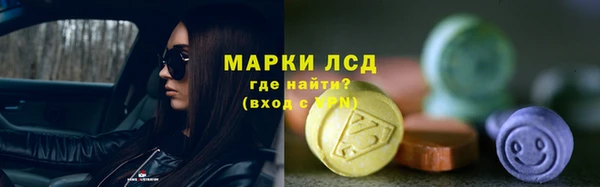 мет Алексин
