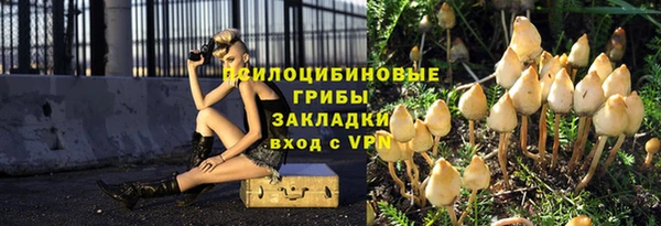марки nbome Гусь-Хрустальный