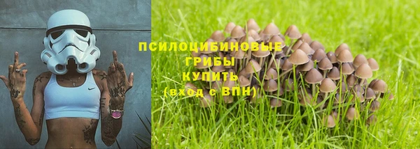 метадон Алексеевка
