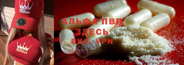 ГАЛЛЮЦИНОГЕННЫЕ ГРИБЫ Гусиноозёрск